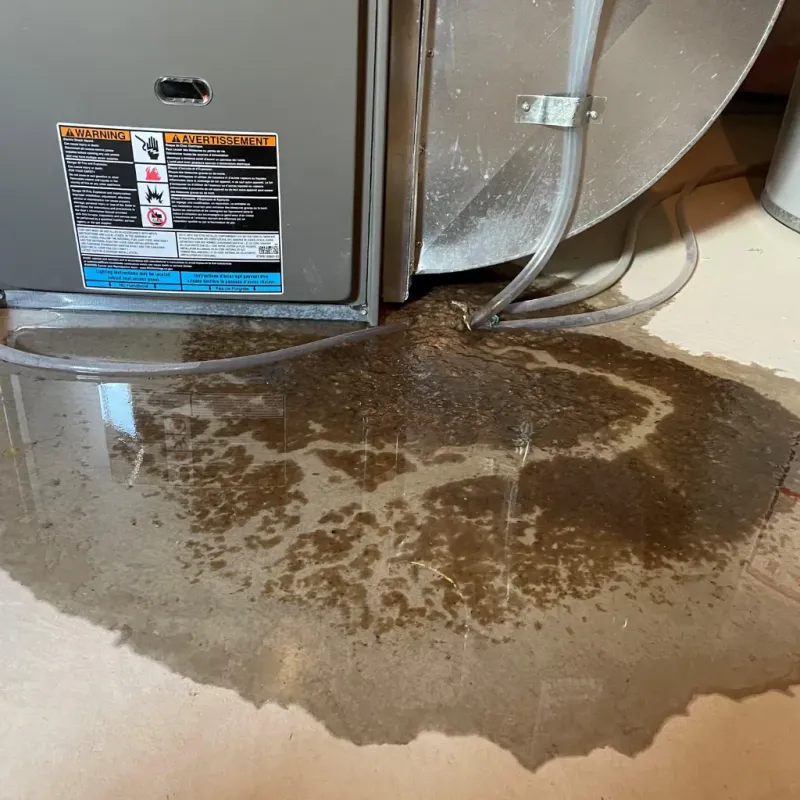 Appliance Leak Cleanup in Liberal, KS